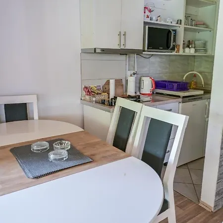 Forest Dream House *