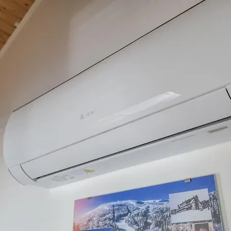 Forest Dream House 別荘