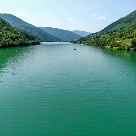 Forest Dream House *