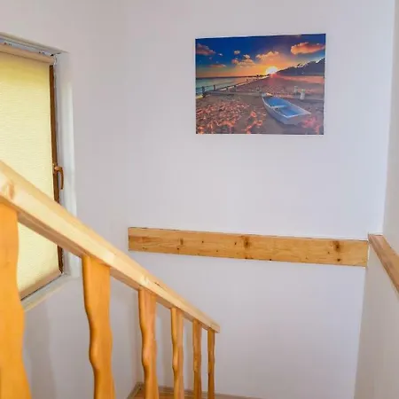 Forest Dream House *