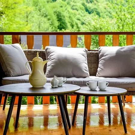 Forest Dream House *