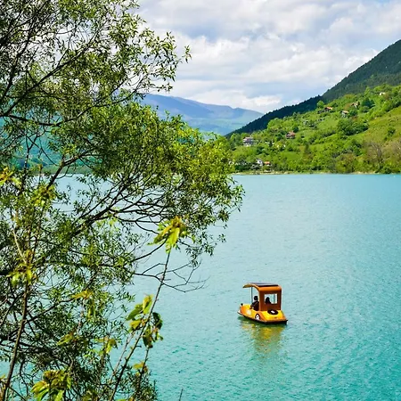 Vakantiehuis Forest Dream House *